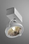 Reflektor Ceres x1 R50 Aquaform 15611 prostokątna podstawa regulacja - 2