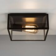 Lampa sufitowa zewnętrzna Bronte- Astro 7388 1353001 czarna oprawa metalowa szkło przezroczyste IP23
