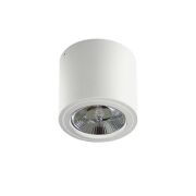 Lampa sufitowa natynkowa ALIX  230V AZ3541 Azzardo techniczna białą tuba na źródło światła es111 okrągła 　