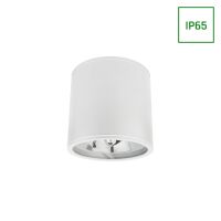Oprawa natynkowa CHLOE AR111 IP65 SLIP005031 biała