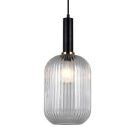 Lampa wisząca ANTIOLA PND-5588-1L-BK+CL Italux SZKLANY TRANSPARENTNY KLOSZ  CZARNE AKCENTY ŚREDNICA 20 CM