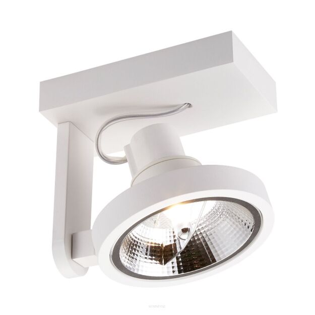 Reflektor Spot MASTER 111 SL ACGU10-180 Zuma Line biały ES111