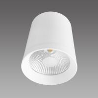 Lampa sufitowa natynkowa Zovo 1 LP-32015/1SM WH Light Prestige techniczna biała