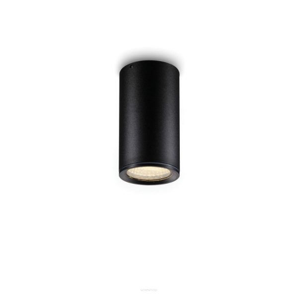 Lampa sufitowa LEJA 183 L ELKIM Zewnętrzna/wewnętrzna IP65 Wysokość 11,5 cm CZARNA LUB BIAŁA 3000K 4000K