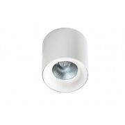 Oprawa MANE DIMM 30W ŚCIEMNIALNA AZ4330 Azzardo BIAŁA natynkowa tuba LED