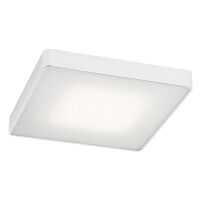 Plafon ONTARIO 3572 Argon Kwadratowy LED biały 25 cm