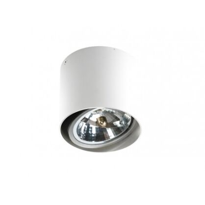 Lampa sufitowa natynkowa ALIX 12V White GM4110 WH  AZ1356 Azzardo techniczna biała tuba na źródło światła G53 okrągła 　
