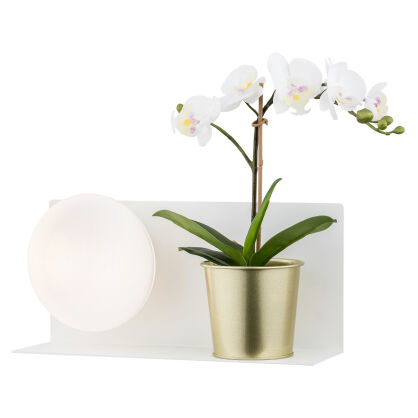 Kinkiet Calvia 4241 Argon półka biała LED