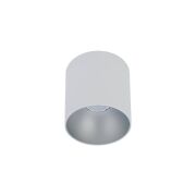 Plafon Point Tone GU10 biało/srebrny 8220