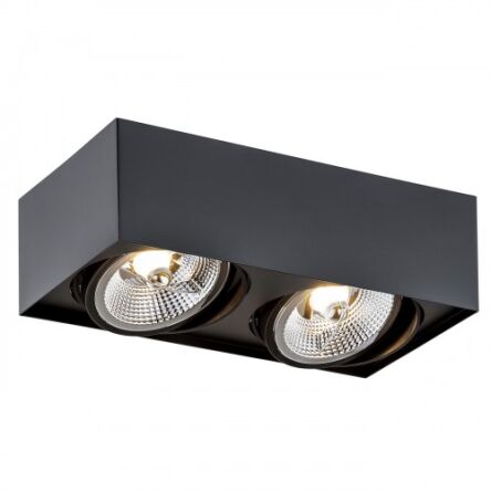 Lampa sufitowa natynkowa  RODOS PLUS 1049 Argon czarna 2x ES111 stal