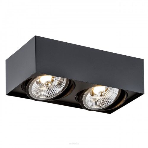 Lampa sufitowa natynkowa  RODOS PLUS 1049 Argon czarna 2x ES111 stal