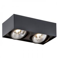 Lampa sufitowa natynkowa  RODOS PLUS 1049 Argon czarna 2x ES111 stal