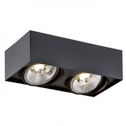 Lampa sufitowa natynkowa  RODOS PLUS 1049 Argon czarna 2x ES111 stal