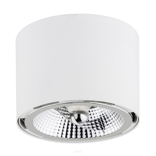 Lampa sufitowa CLEVLAND 4692 Argon biała tuba 