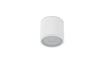 Lampa sufitowa ALIX IP65 AZ4055 Azzardo Tuba o średnicy 12 cm  IP65 biała