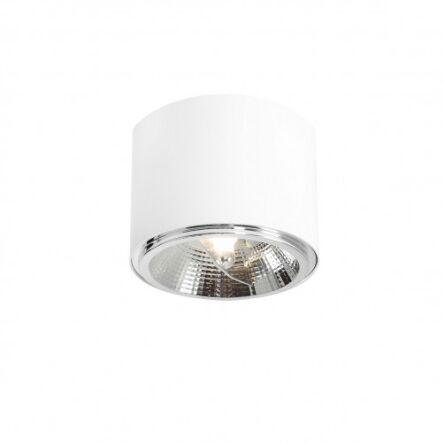 Plafon BOT 1 biały ALDEX 1046PL_G  