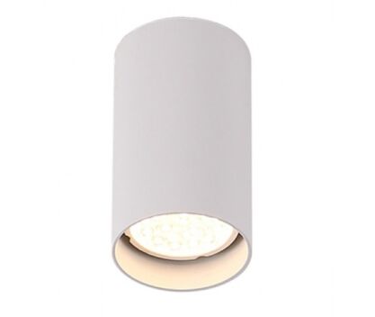Lampa sufitowa Plafon Pet Round New C0141 Maxlight biała oprawa sufitowa techniczna okrągła 10 cm wysokości