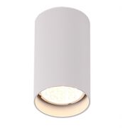 Lampa sufitowa Plafon Pet Round New C0141 Maxlight biała oprawa sufitowa techniczna okrągła 10 cm wysokości