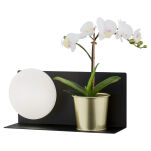 Kinkiet Calvia 4243 Argon półka granatowa LED - 3