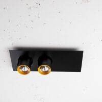 Oprawa natynkowa Auro Base 60 NT 60x2 CRI80 Labra  3.0555 prostokatna podstawa różne kolory wykończenia i wkładek reflektory w kształcie tub