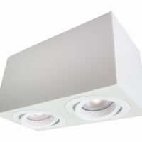  Lyon 2 oprawa natynkowa biała Light Prestige   LP-5881/2SM WH