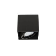 Oprawy natynkowe CARDI I NERO ORLICKI DESIGN nowoczesna Metal / Czarny Mat