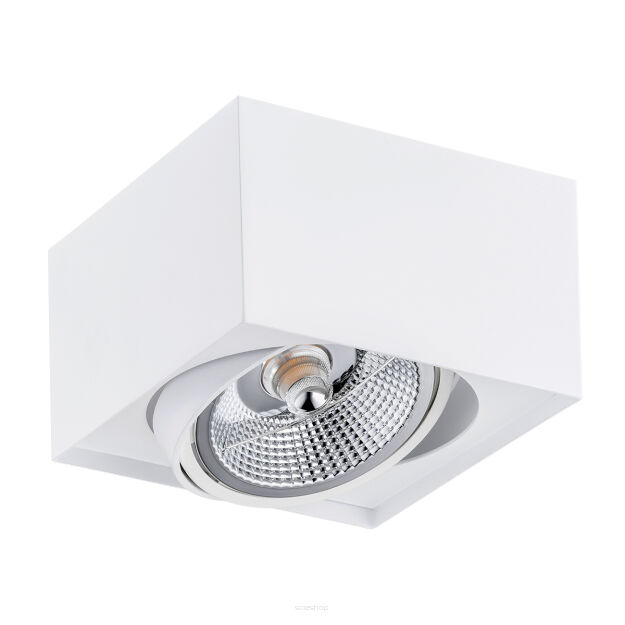 Lampa sufitowa natynkowa  RODOS PLUS 4753 Argon biała ES111 kostka
