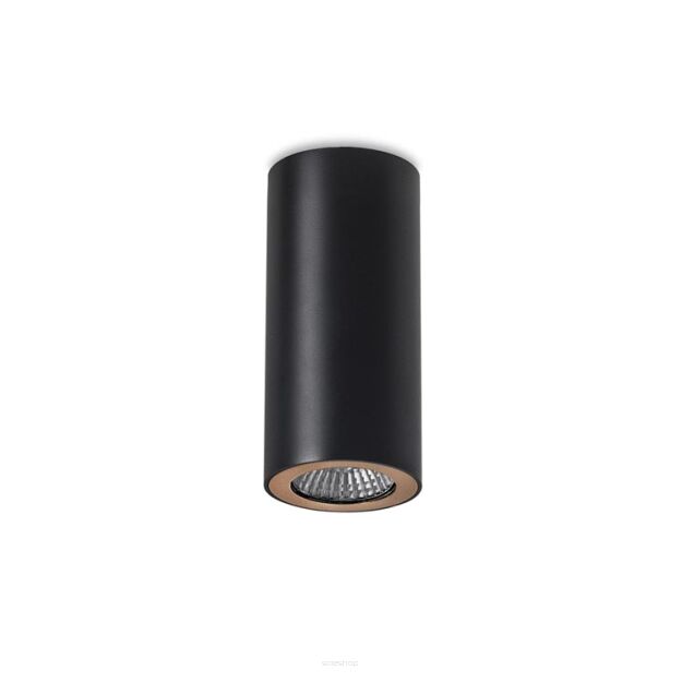 LAMPA NATYNKOWA   PIPE leds c4  15-0073-05-23