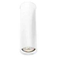 Lampa sufitowa natynkowa  ARIDA 1110 bi  z metalu w kolorze białym nowoczesna tuba GU10