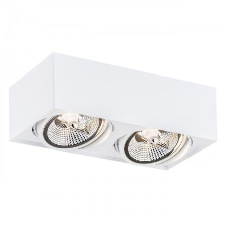Lampa sufitowa natynkowa  RODOS PLUS 1048 Argon biała 2xES111 stalowa
