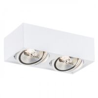 Lampa sufitowa natynkowa  RODOS PLUS 1048 Argon biała 2xES111 stalowa
